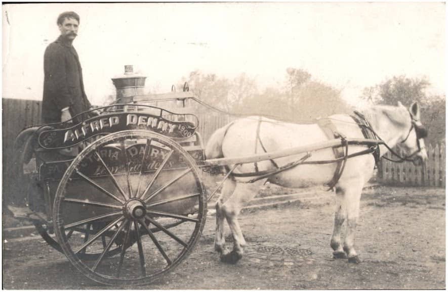 Milkman and horse-drawn cart - Alfred Denny, Victoria Dairy, Kew Gardens, Est 1900 (6154024664)